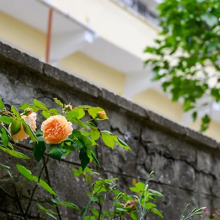 酒店 Effect Saint Mina 索佐波尔