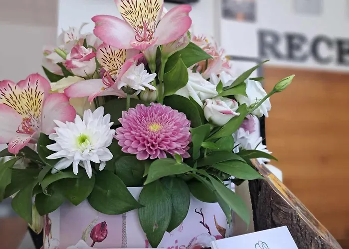 ефект свети мина 2*