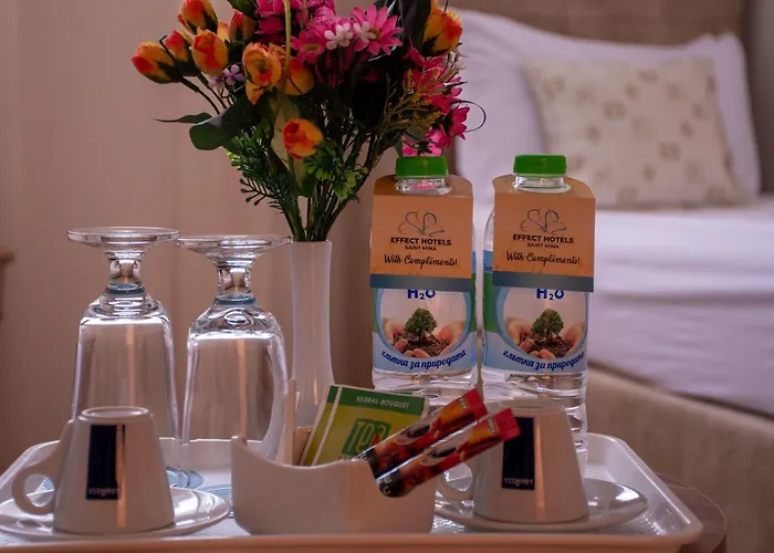 Хотел ефект свети мина 2*