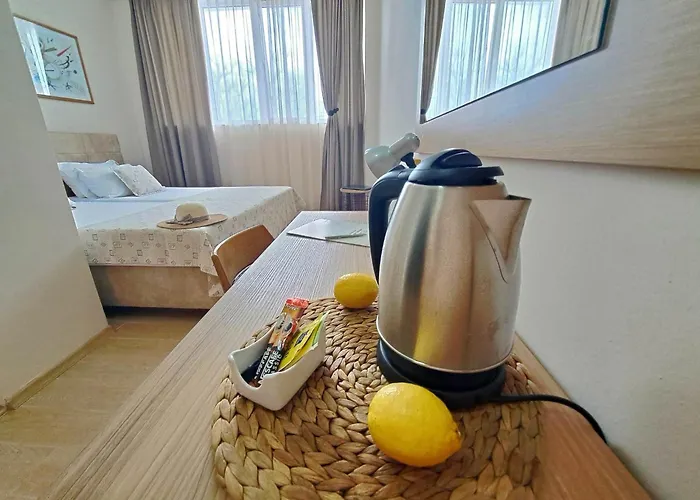 Effect Saint Mina 2* Sozopol