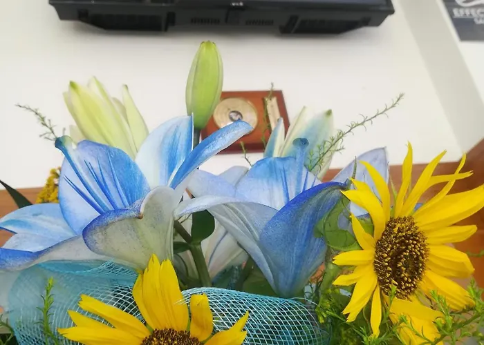 ефект свети мина