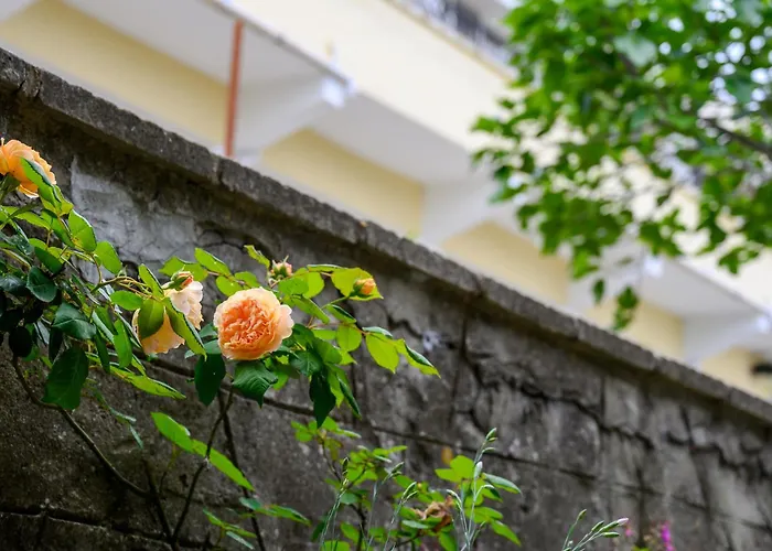 Хотел ефект свети мина Созопол