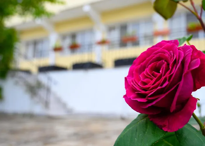 Hotel Effect Saint Mina 2*